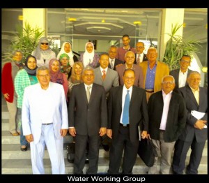 water working group