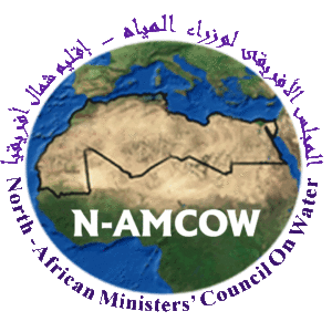 N-AMCOW